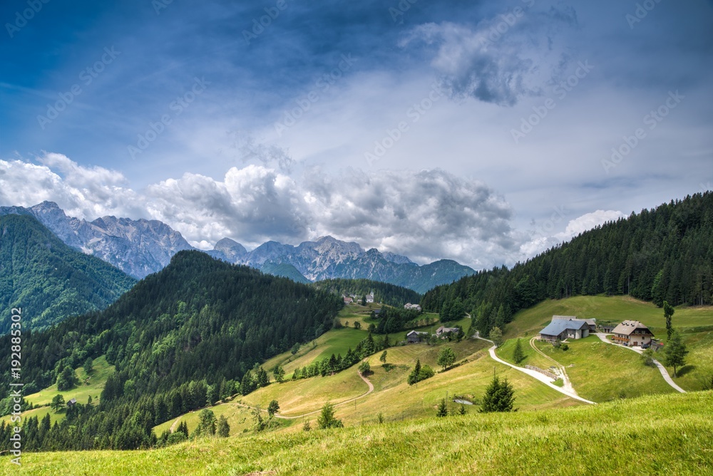 Fototapeta premium Solcava Panoramic Road in Summer