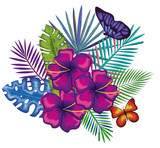 tropical and exotics flowers with butterflies vector illustration design