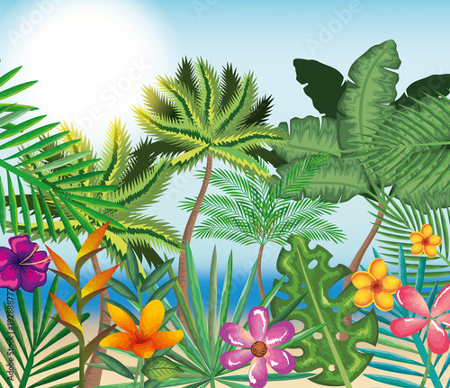 tropical and exotics flowers and leafs vector illustration design