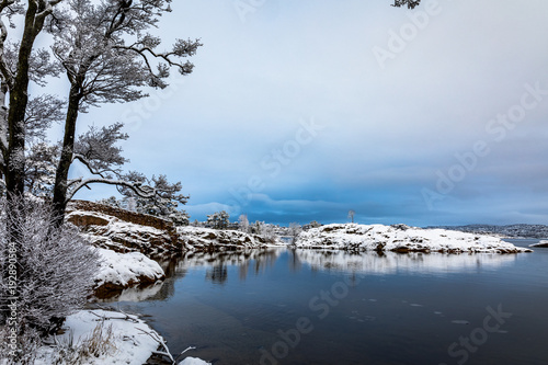 Reflections in the water. Beautiful winter day at Odderoya in Kristiansand, Norway. Trees covered in snow. photo