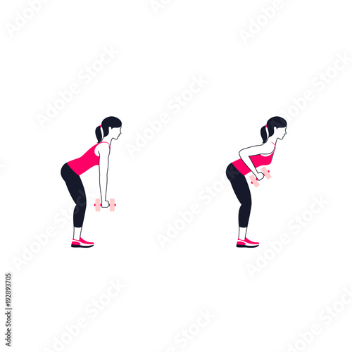 Fitness exercises for back