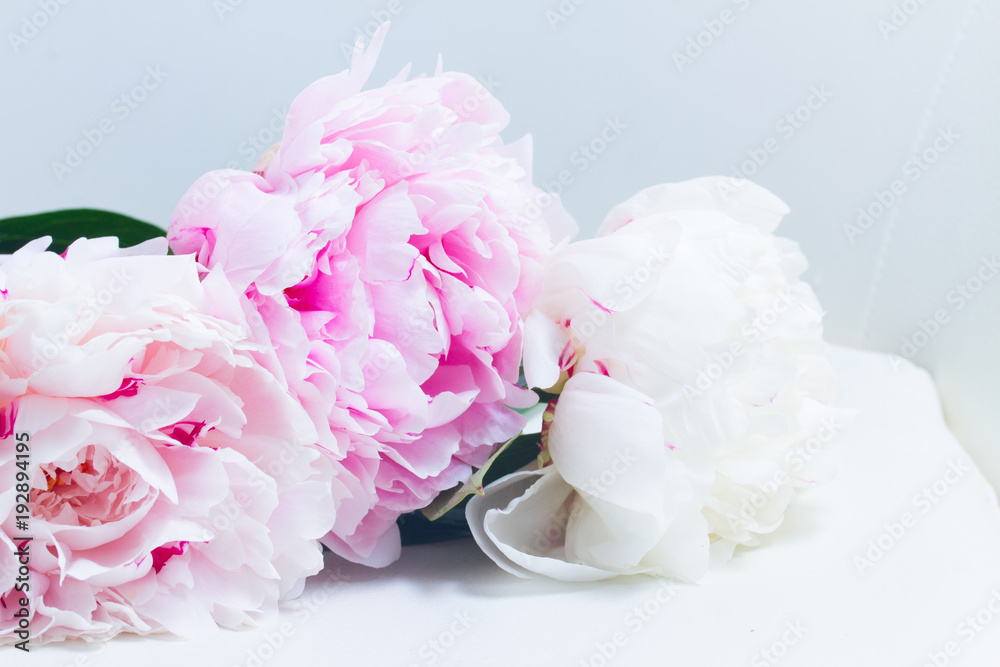 Fototapeta premium Pink floral background