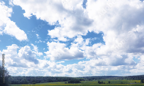 Landscape is summer. Green trees and grass in a countryside land