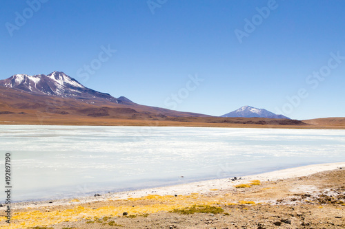 Laguna Hedionda view  Bolivia