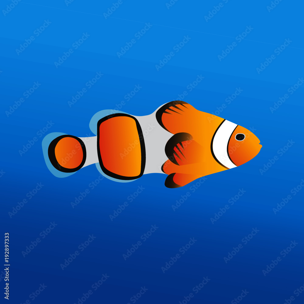 orange fish swimming.