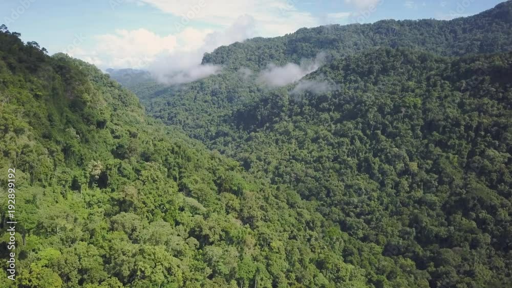 A medium shot of mountains and jungle trees. Camera move forward A medium shot of mountains and jungle trees. Camera move forward