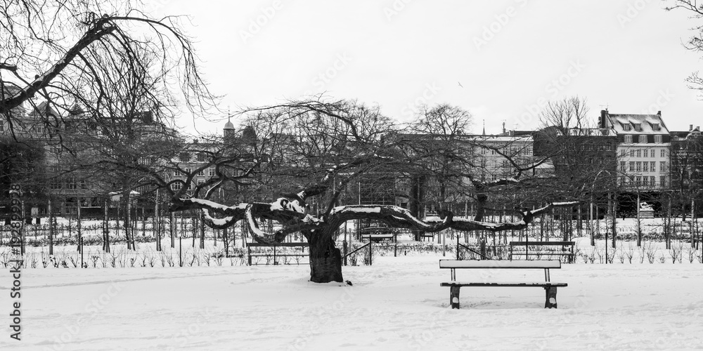 Kongens Have in Copenhagen, a park in Denmark Winter.