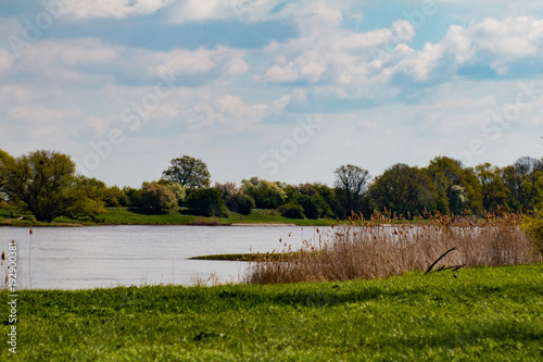 Blick über die Elbe bei sonnigem Wetter