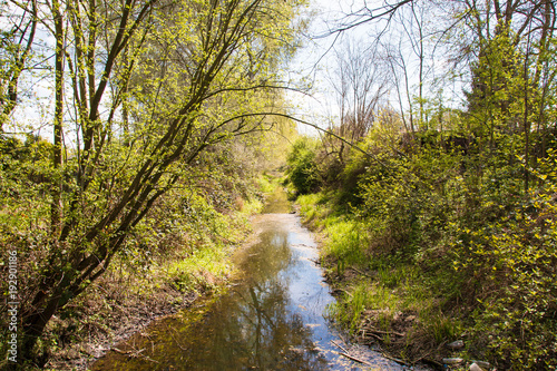 Photography kleiner Bach oder Graben von Bäumen umgeben