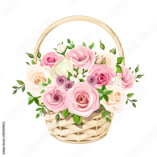 Vector beige basket with pink and white roses isolated on a white background.