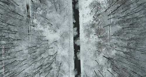 Beautiful drone shot of a road in a forest with snow