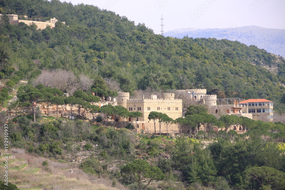Chateau de la Moussa au Liban