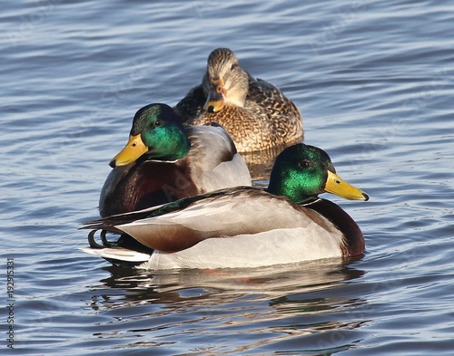Family Portrait