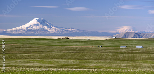 Mount Adams Mt Rainier Farm Agriculture Oregon Landscape photo