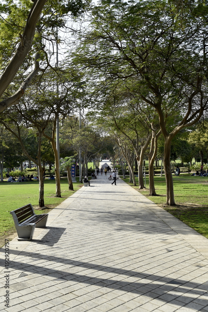 Park view in Zabeel park, Dubai, United Arab emirates