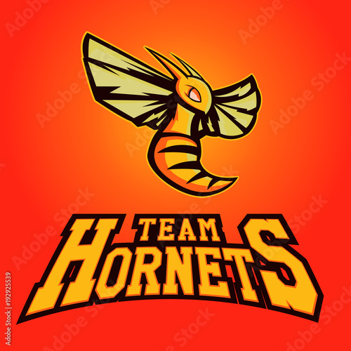 Modern professional logo for sport team. Hornet mascot. Hornets, vector symbol on a light background.