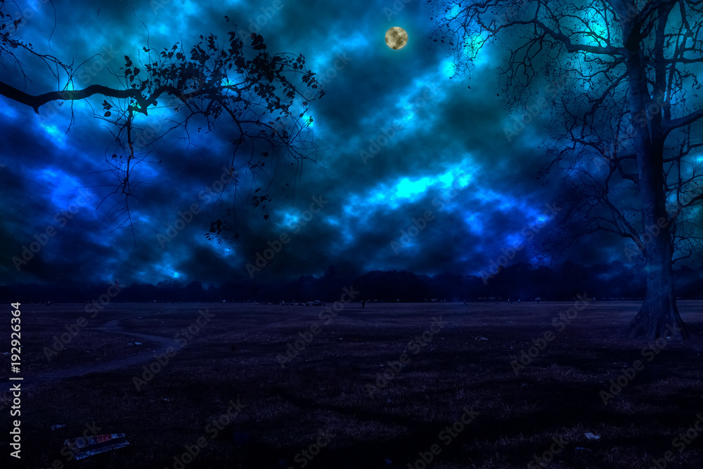 Night background sky.  The photo is generated from a camera photo using image processing software. It consist 8 layers.
