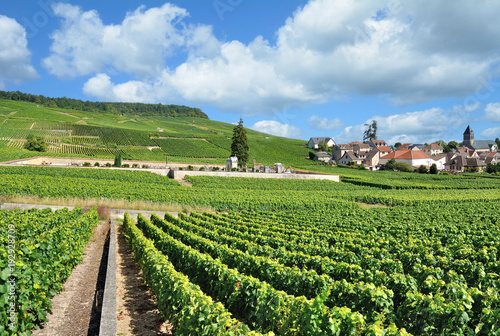 Obraz na płótnie der bekannte Weinort Oger nahe Epernay in der Champagne region,Frankreich