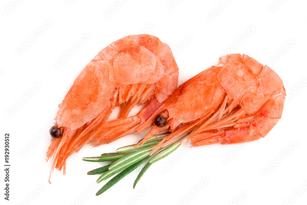 Red cooked prawn or shrimp with rosemary isolated on white background Red cooked prawn or shrimp with rosemary isolated on white background
