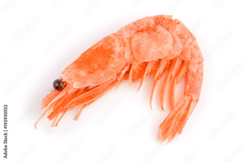 Red cooked prawn or shrimp isolated on white background Red cooked prawn or shrimp isolated on white background