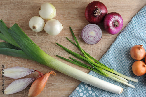 Variety of onions. In the frame, onions, leeks, shallots, white, sweet red, yellow onions, green onions. Light wooden background and cloth napkin. Close-up. View from above.