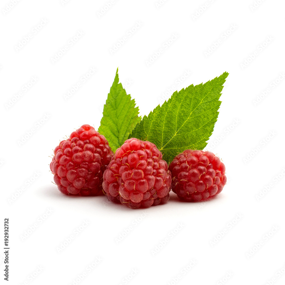 Photo of fresh red raspberry with leaves isolated on white background Photo of fresh red raspberry with leaves isolated on white background