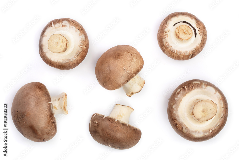Fresh champignon mushrooms isolated on white background. Top view. Flat lay Fresh champignon mushrooms isolated on white background. Top view. Flat lay