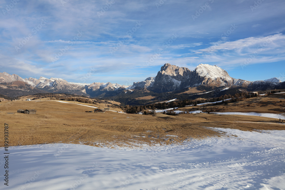 Obraz premium Seiser Alm with Langkofel Group. South Tyrol. Italy