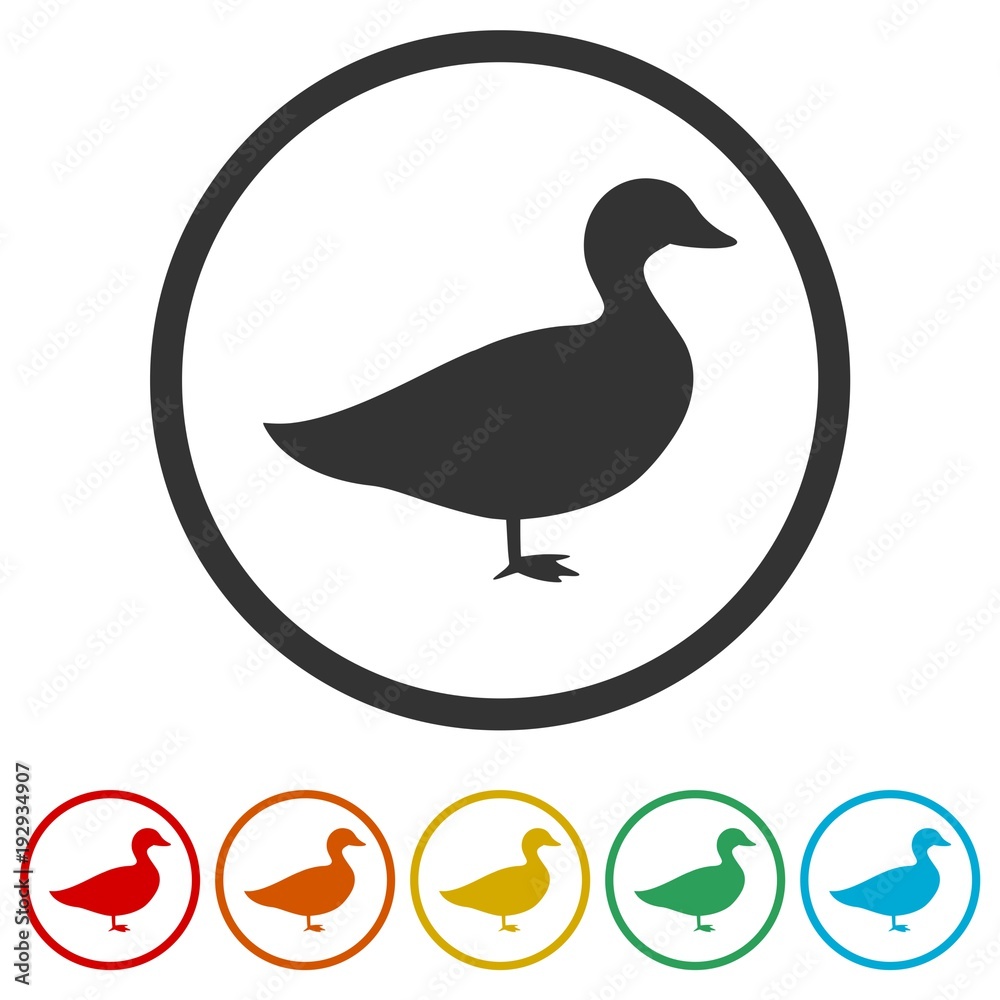 The silhouette of a goose or duck icon, 6 Colors Included The silhouette of a goose or duck icon, 6 Colors Included