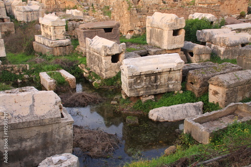 Fototapeta Naklejka Na Ścianę i Meble -  sarcophages dans la nécropole romaine d'Al Bass