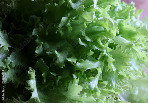 green dietary salad