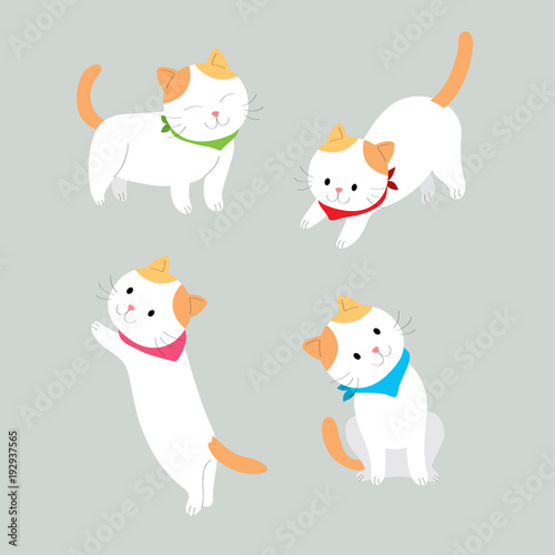 Cartoon cute actions orange and white cat vector. Grey background.