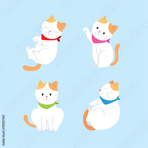 Cartoon cute actions orange and white cat vector. Blue background.