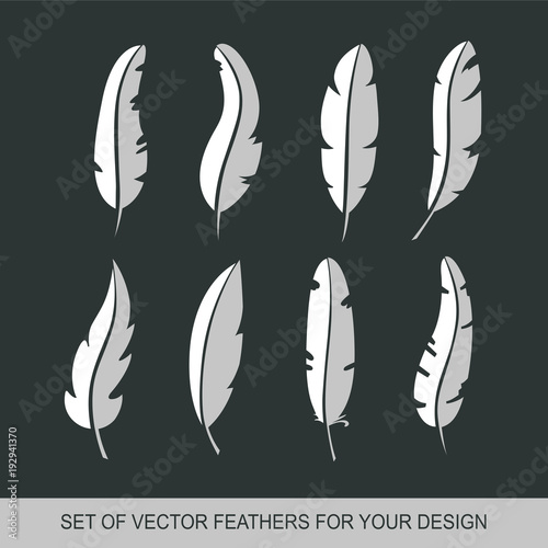 Different set feather vector icon isolated on white background. Collection for writing text and design. Graphic illustration