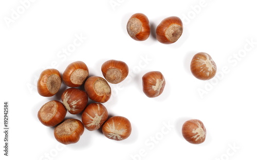 Wallpaper Mural Hazelnuts isolated on white background, top view Torontodigital.ca