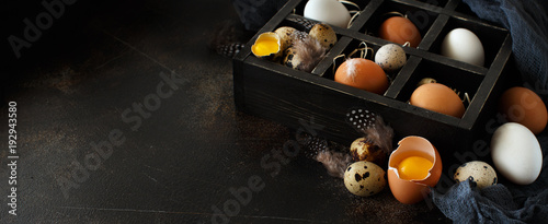 Сhicken and quail eggs in a box photo