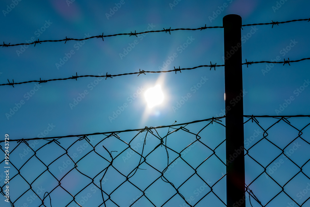 barbed wire and sunshine