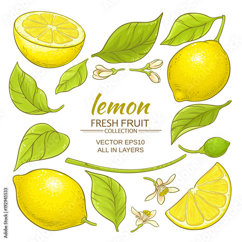 lemon elements set