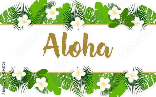 exotic aloha banner