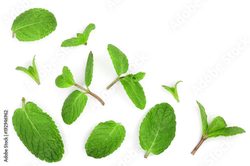 fresh green mint leaves isolated on white background with copy space for your text, top view. Flat lay