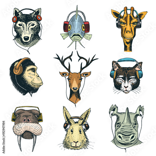 Animal head in headphones vector animalistic character in earphones or headset listening to music illustration set of cartoon wild dj in headgear or earbuds isolated on white background