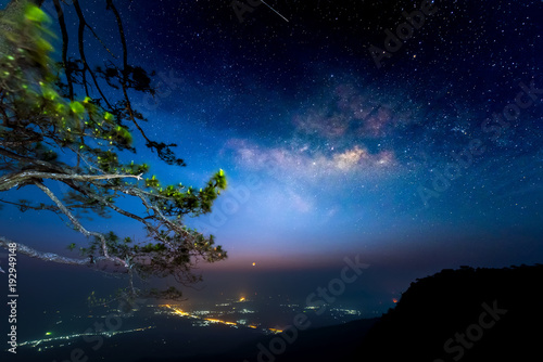 Milky Way over pine trees, Phu Kradueng National Park, Thailand © keangs