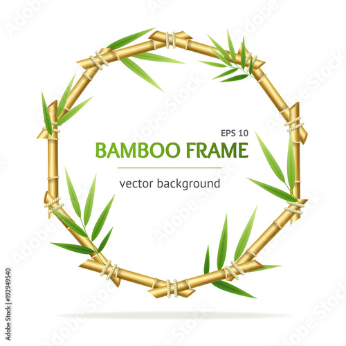 Realistic 3d Detailed Bamboo Shoots Circle Frame. Vector