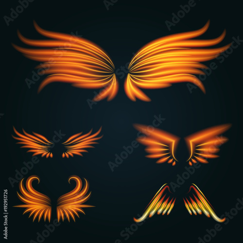 Bird fire wings vector fantasy feather burning fly mystic glow fiery burn hot art wings illustration on black.