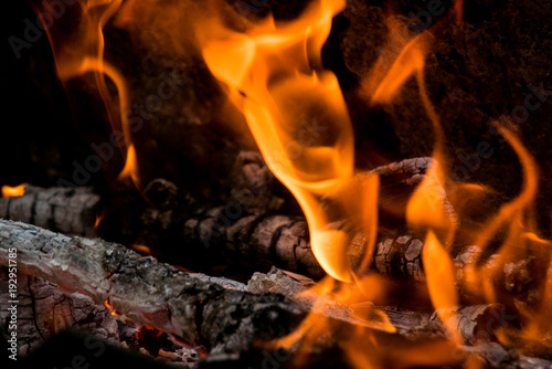Photo of burning firewood and charcoal close-up