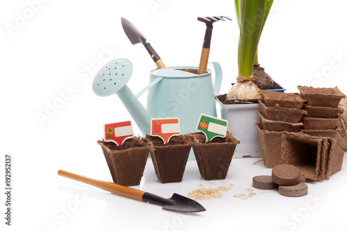 Gardening tools and seedlings.
