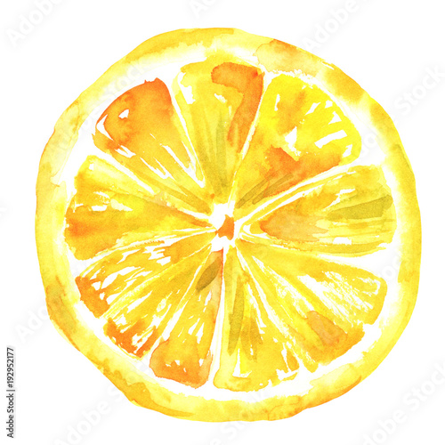 Watercolour lemon drawing, isolated on white
