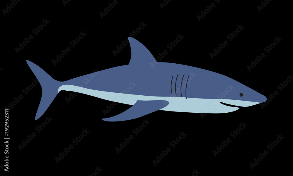 Shark vector illustration Shark vector illustration