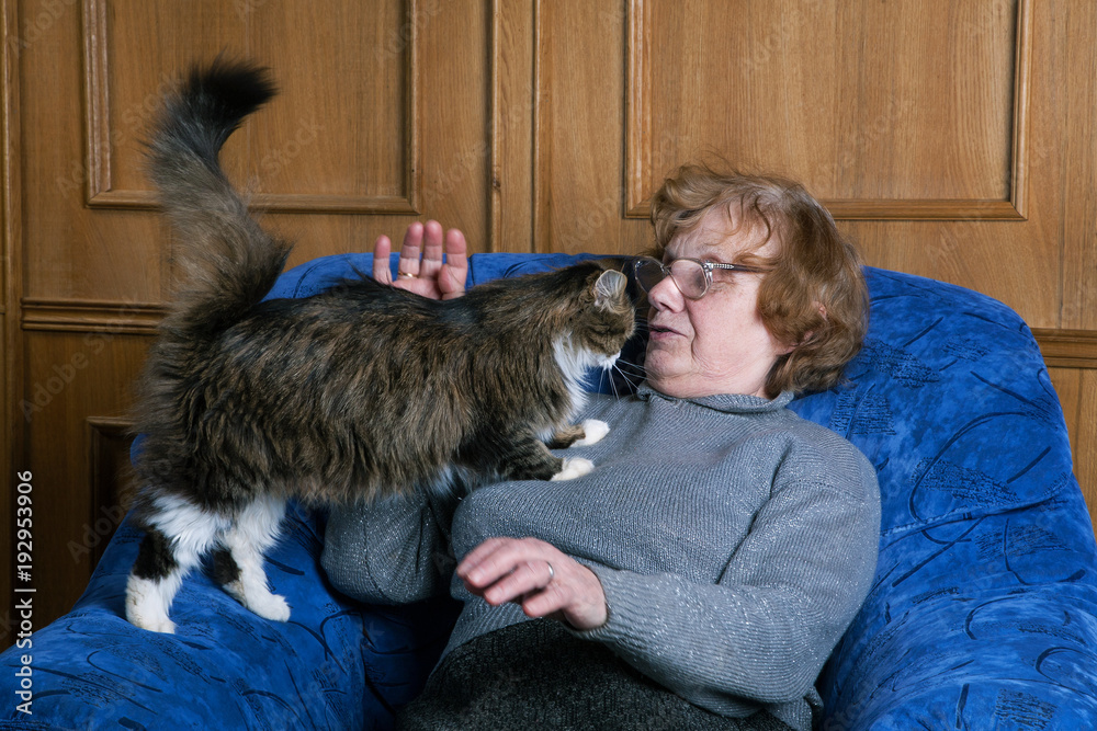 The grandmother with a cat in house conditions