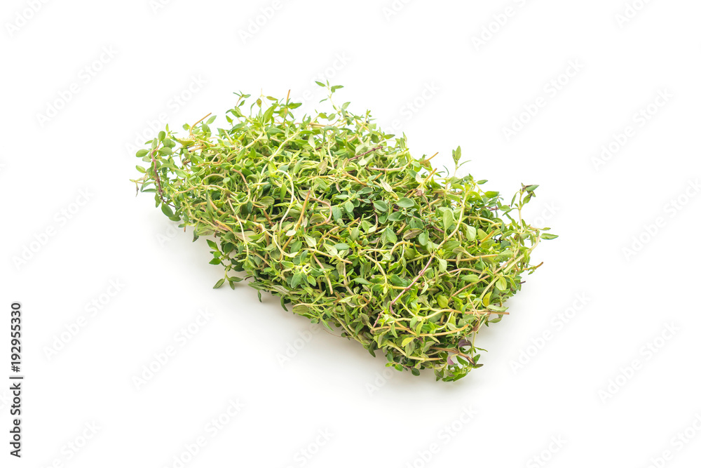 fresh thyme on white background fresh thyme on white background